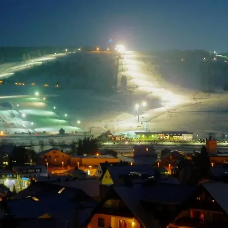 Lejlighed Upland-flair Blumenwiese Im Zentrum! Willingen (Upland)